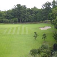 golf course 300dpi